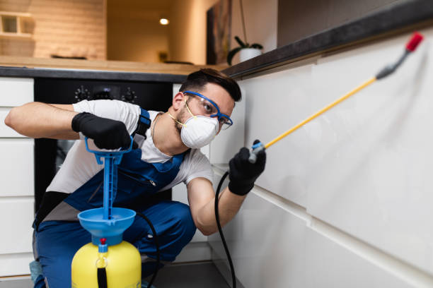 Best Exterminator Services  in Nyon Lake, CA