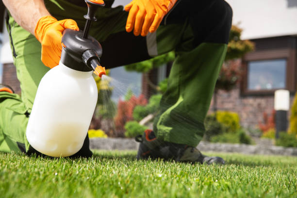 Professional Pest Control in Canyon Lake, CA