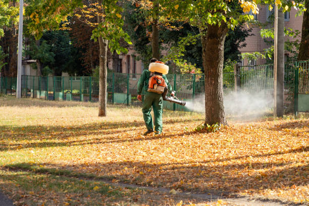 Insect Control in Canyon Lake, CA