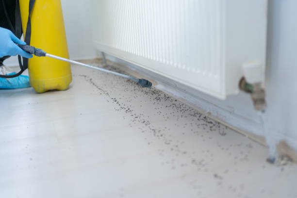  Nyon Lake, CA Pest Control Pros