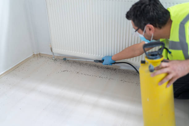 Best Ant Control Services  in Nyon Lake, CA
